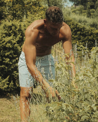 Miniature per i pantaloncini da bagno a righe