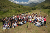 Thumbnail for Tree to be Planted - Portofino Dry Gin