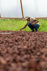 Thumbnail for Tree to be Planted - Portofino Dry Gin